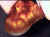 fireagate_window16.jpg (19259 bytes)